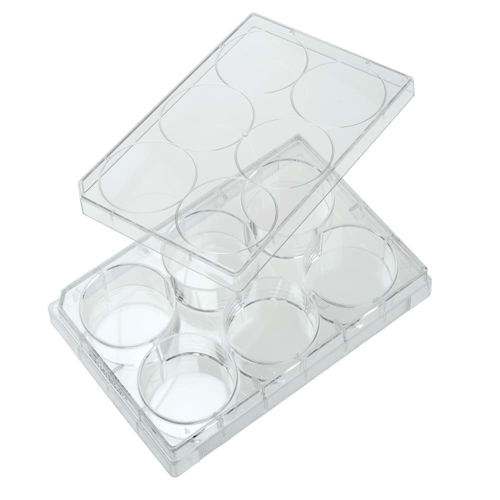 Picture of CultureStar 6 Well Tissue Culture Plate with Lid, Individual, Sterile - 50